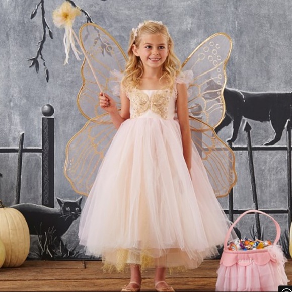 Pottery Barn Kids Other - ⭐️Pottery Barn Kids Fairy costume dress Age 4-6